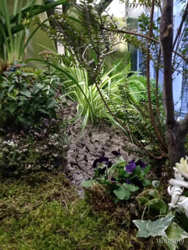 Restyling chiosco piazzetta Luccoli (5)