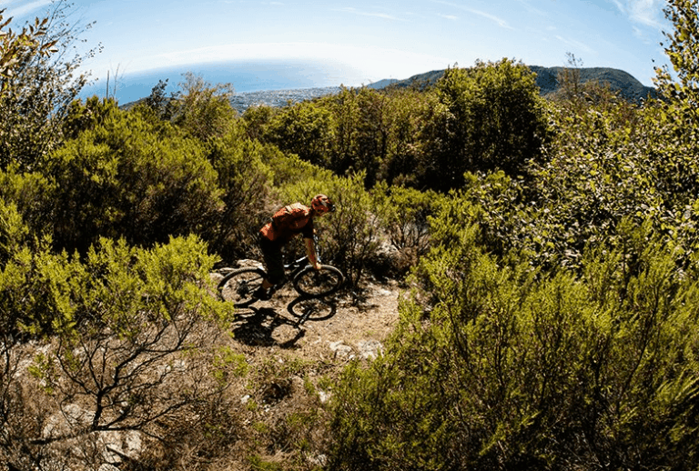 Agenzia In Liguria, ok al nuovo piano di attività