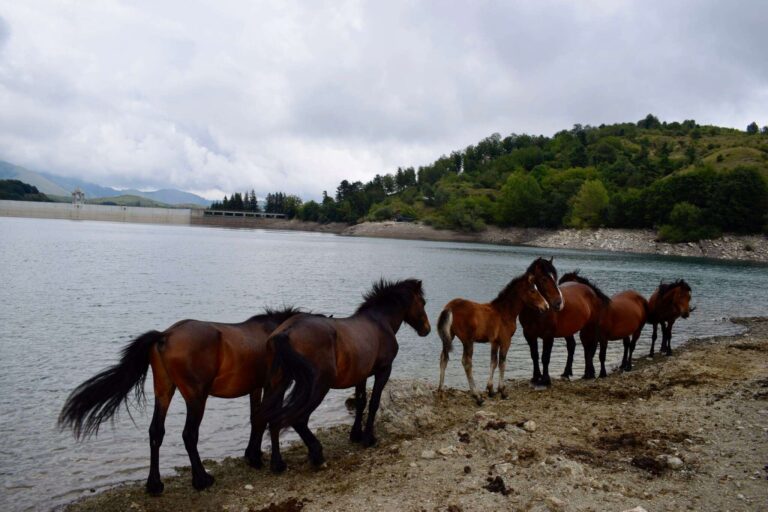 Turismo, la Regione ha approvato i progetti dei parchi da finanziare con Funt nel 2024