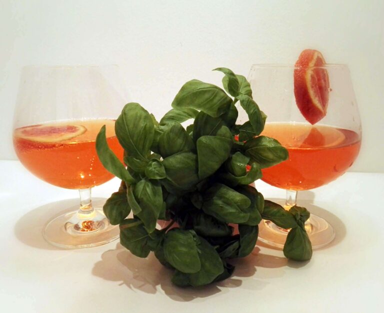 La Liguria nello shaker: aperitivi ideati dagli studenti del Bergese con prodotti locali