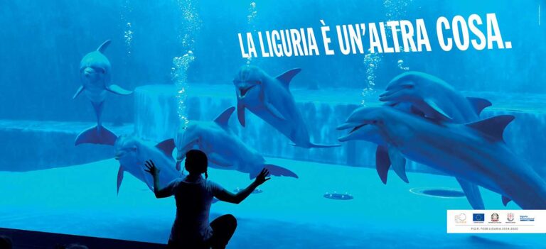 LLEUAC Malpensa P246 437,5×200.indd