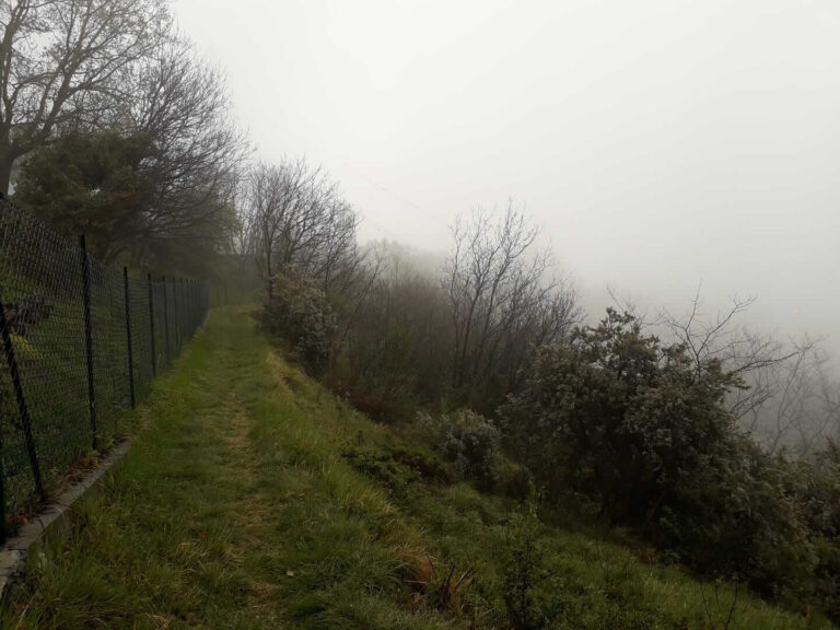 Liguria: cessato lo stato di grave pericolosità incendi