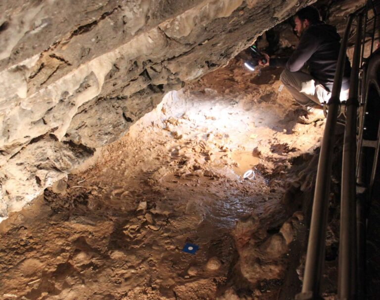 Unige: a Toirano un team interdisciplinare riporta alla luce orme di 14 mila anni fa