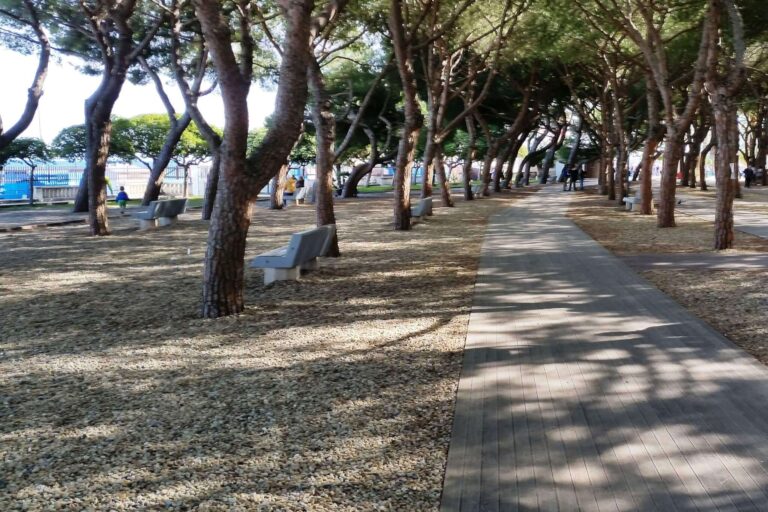 Ceriale: si allarga il servizio di wi-fi gratuito