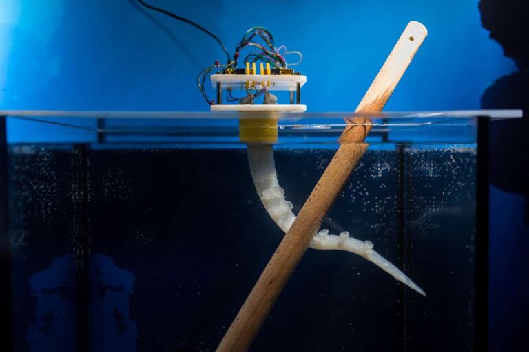 braccio robot polpo IIT Acquario di Genova DSC_4403