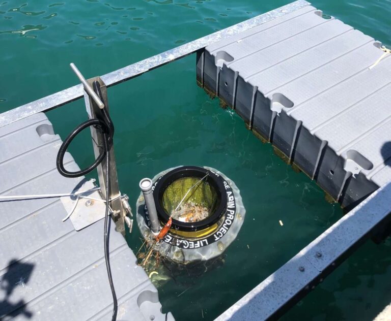 A Porto Venere installato il Seabin, il contenitore “mangia plastica”
