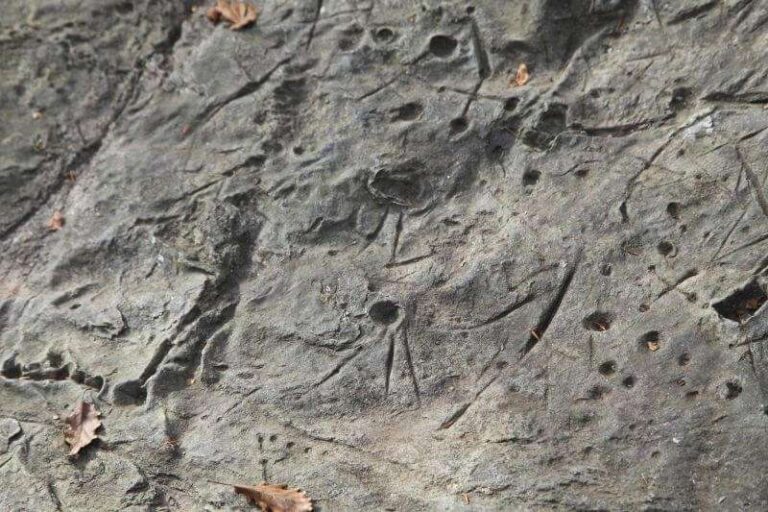 Parco del Beigua: gli appuntamenti del prossimo fine settimana