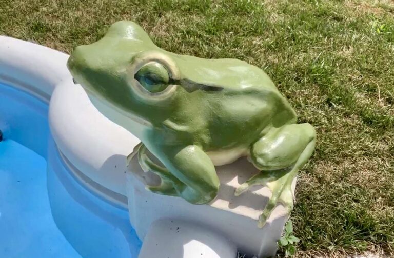 Rapallo, ecco la rinnovata fontana delle rane