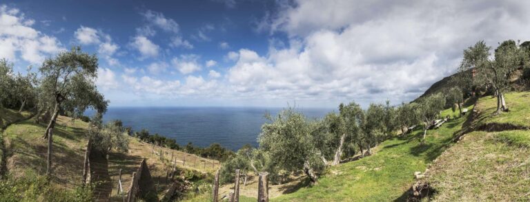 Podere Case Lovara a Punta Mesco SP, panoramica, foto di Davide Marcesini 2016 © Archivio FAI