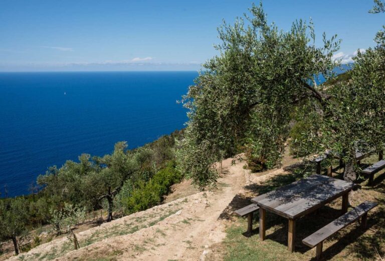 Podere Case Lovara a Punta Mesco SP_Foto Davide Marcesini_2017_(C) FAI – Fondo Ambiente Italiano