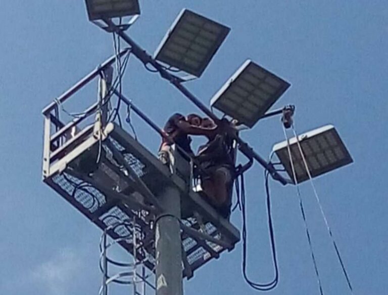 Sestri Levante: al campo Andersen un’illuminazione più sostenibile