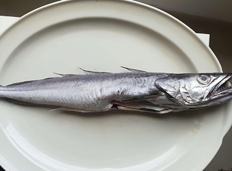 Nasello con salsa cruda di pomodoro