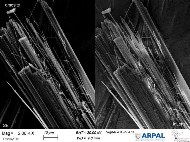 L’Arpal si dota di nuovi microscopi: serviranno per ricerca di fibre di amianto e di microplastiche