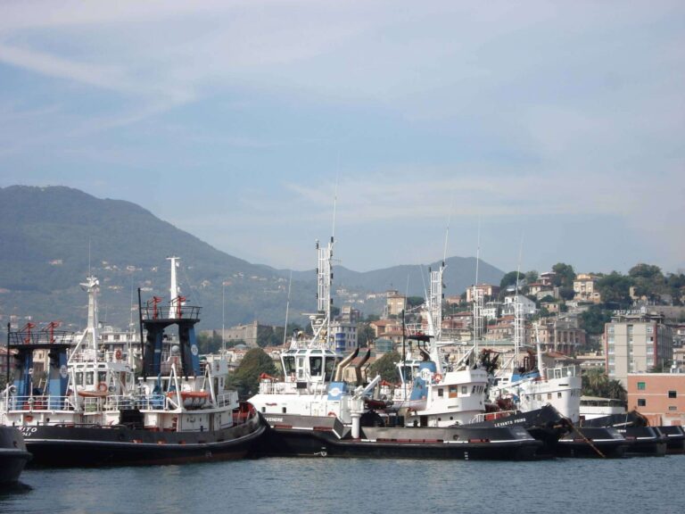 Blue Economy: alla Spezia l’incontro promosso dai piccoli industriali