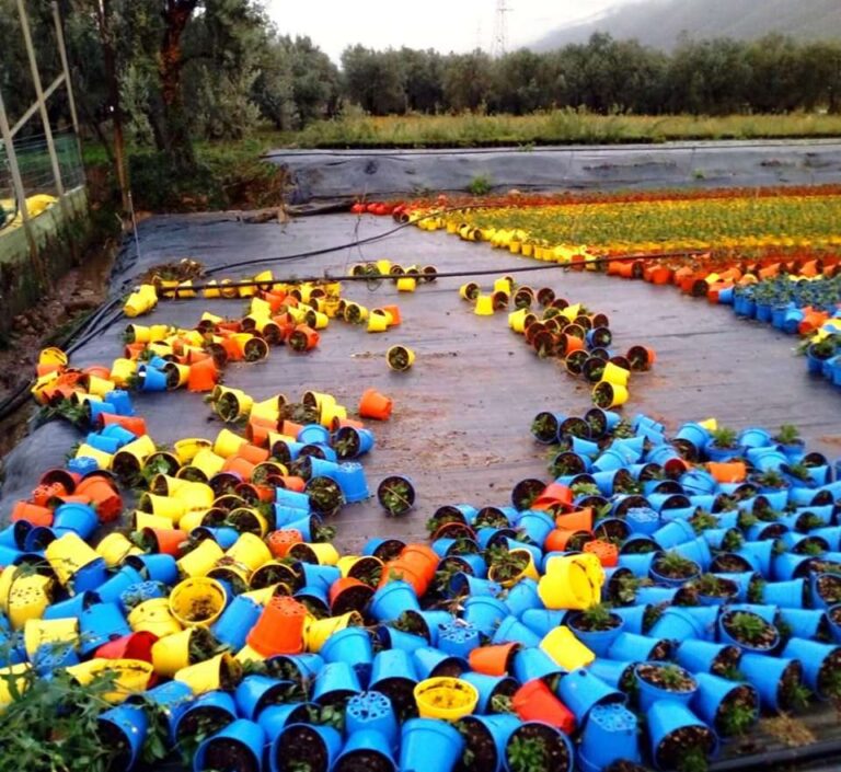 Cia Savona: danni all’agricoltura albenganese
