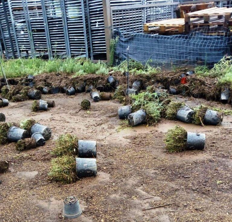 Danni ad agricoltura a ottobre 2020, i bando per il ristoro scade il 4 ottobre