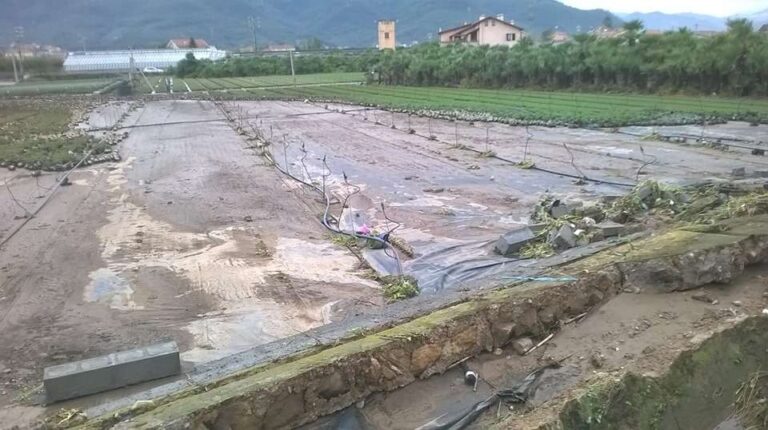 agricoltura albenga allerta