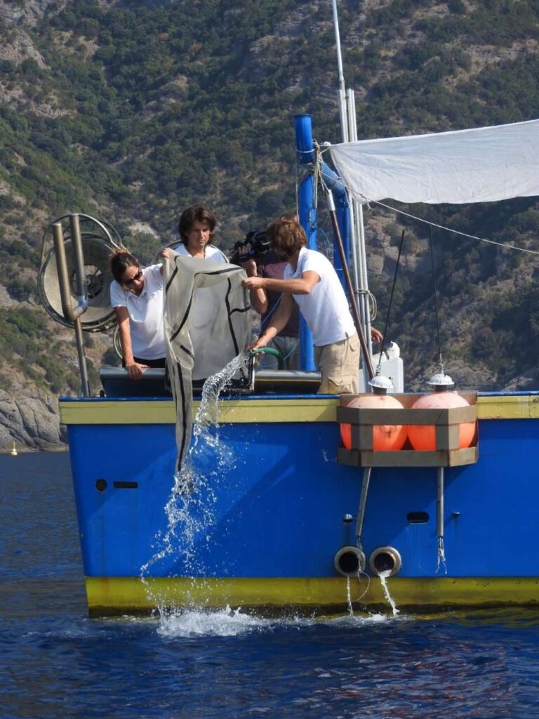 Arpa Ispra monitoraggio fondali mar ligure plastica