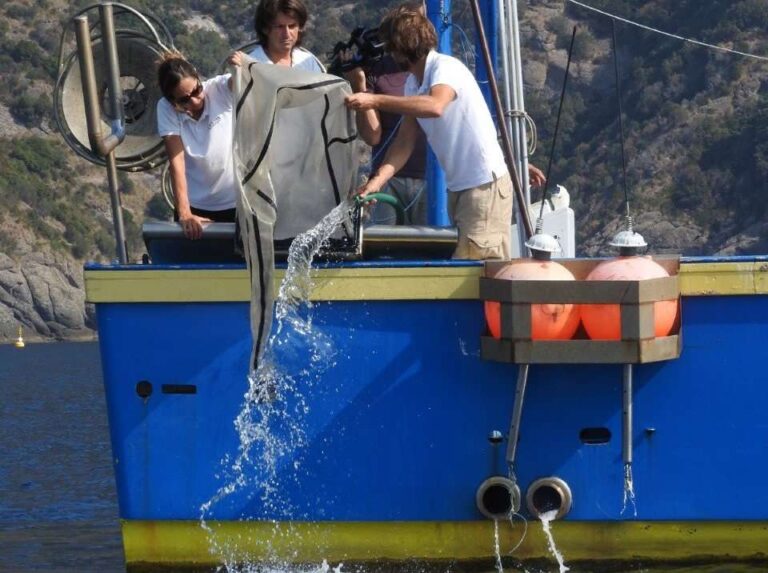 Arpa Ispra monitoraggio fondali mar ligure plastica