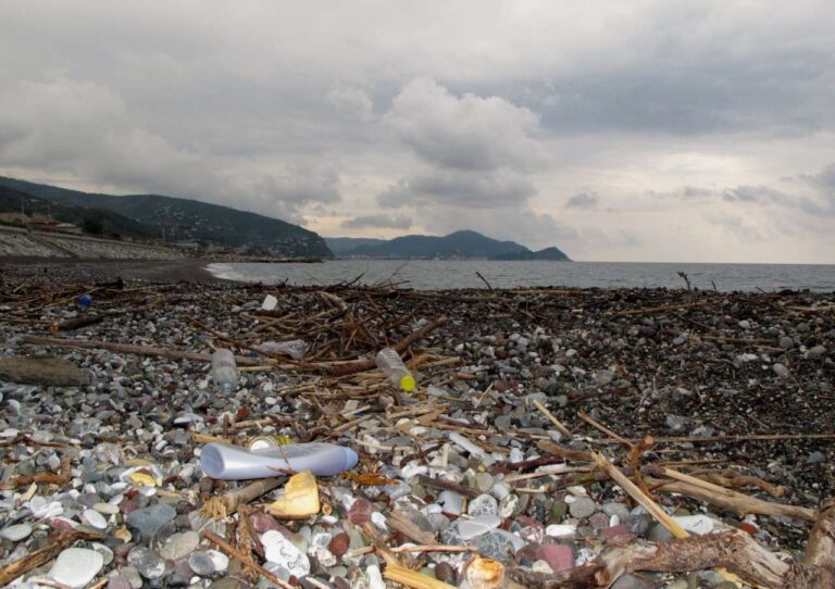 Arpa Ispra monitoraggio fondali mar ligure plastica