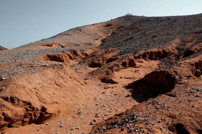 Regione: Muzio (FI), snellire norme e procedure per recupero terre incolte