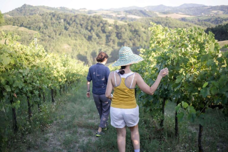 Fondazione Garrone firma il manifesto sulla crisi climatica della Fondazione Symbola