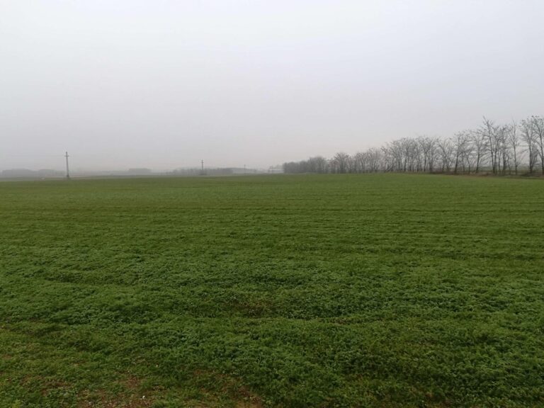 piantagione Biofarma