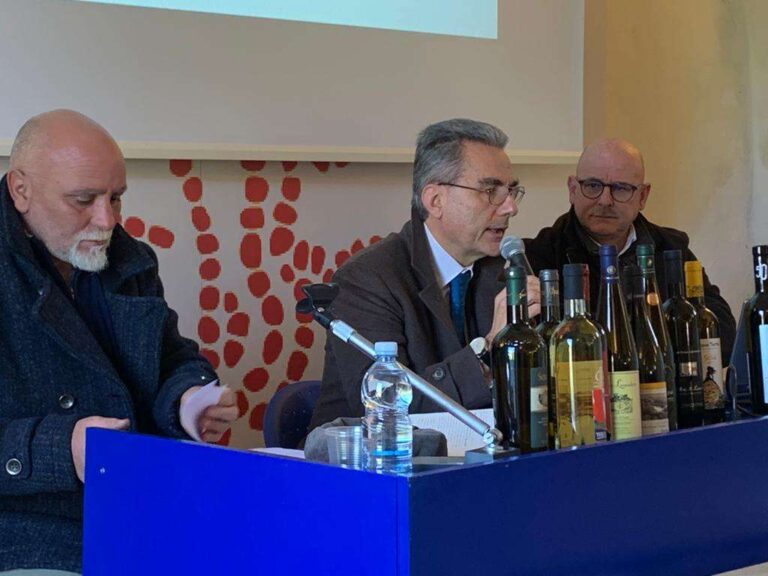 Vino, nasce il primo consorzio dei produttori della Liguria: 61 aziende e quasi 500 etichette