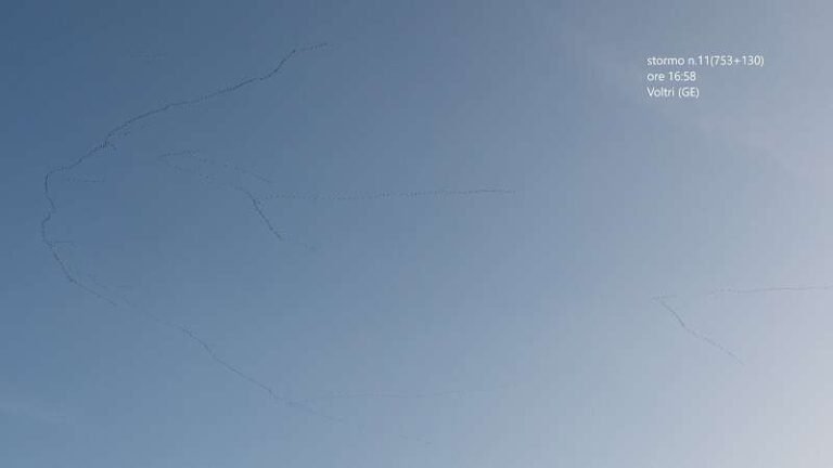 Stormo Gru 11 (753+130)