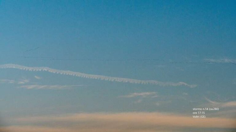 Parco del Beigua, migrazione spettacolare di gru: transitati oltre 7 mila individui