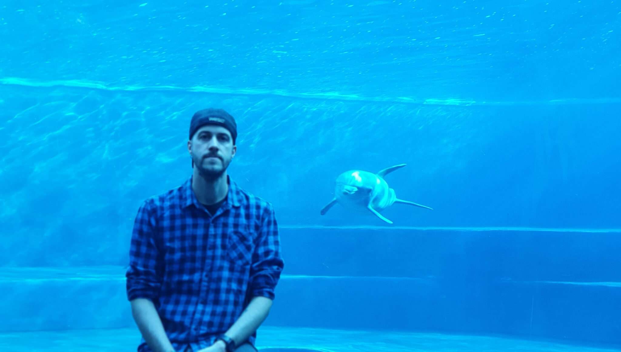 Street art per la difesa del mare e delle sue creature: l’artista Riccardo Buonafede all’Acquario di Genova