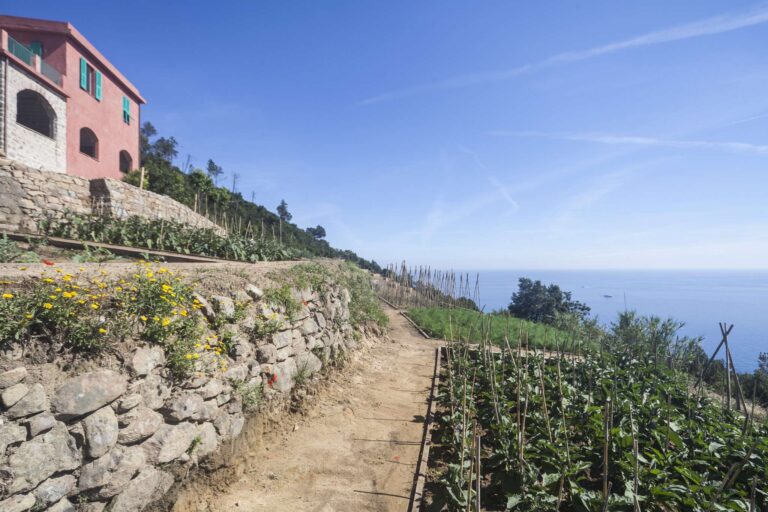 Podere Case Lovara a Punta Mesco SP , foto di Davide Marcesini 2016 © Archivio FAI