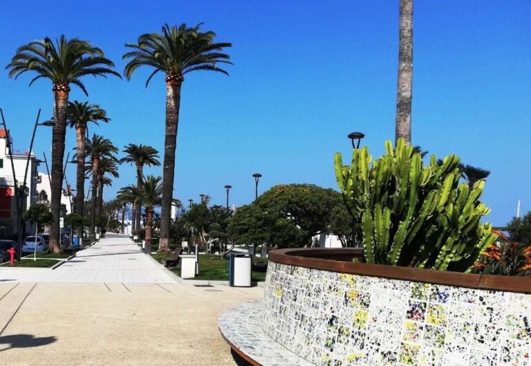 Ceriale, al via progetti sociali per i cittadini con reddito di cittadinanza