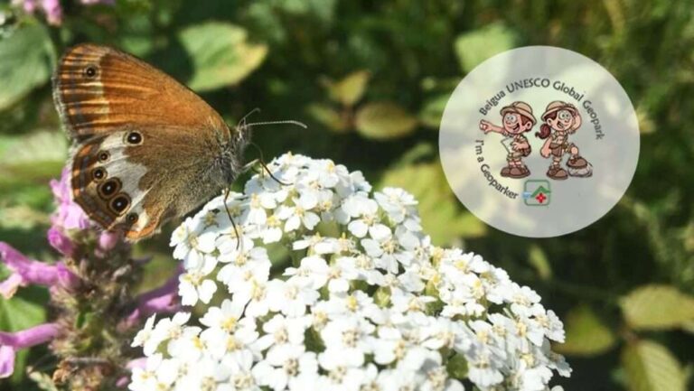 Al Parco del Beigua tornano le escursioni per i più piccoli