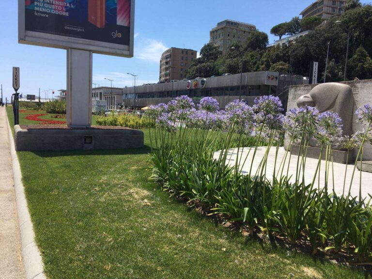 878b9c2a-107a-41e1-9c61-e799242f36f1