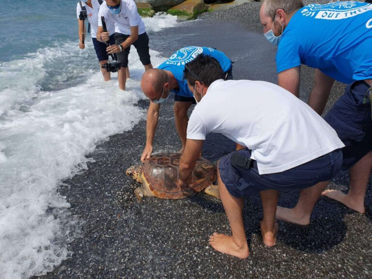 Rilascio Caretta caretta 01.07.2020_115417