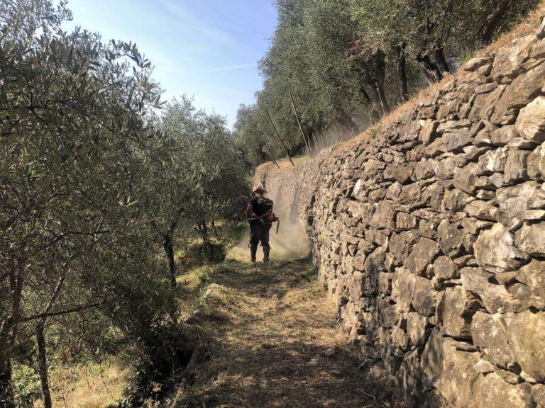 Escursionismo, aggiornata la carta inventario ligure con oltre 100 km in più