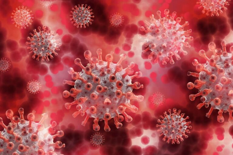 Coronavirus, il bollettino: 108 nuovi positivi, boom di contagi in provincia di Genova