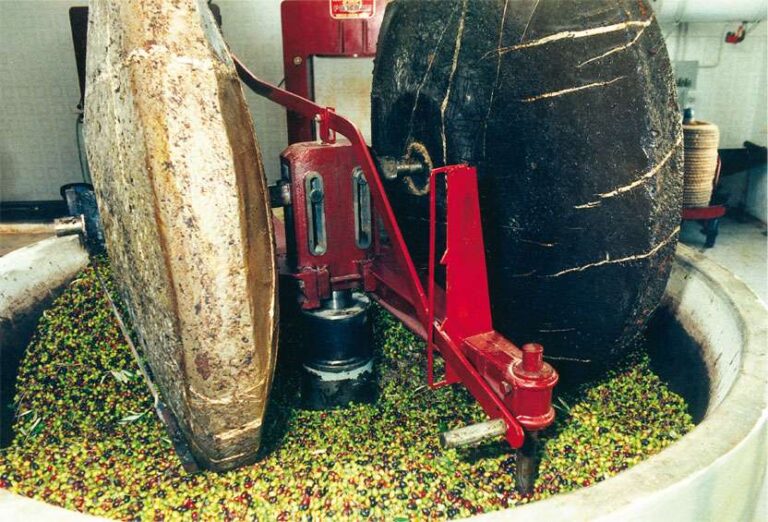 Imprese storiche: 74 liguri nel Registro nazionale, 13 new entry