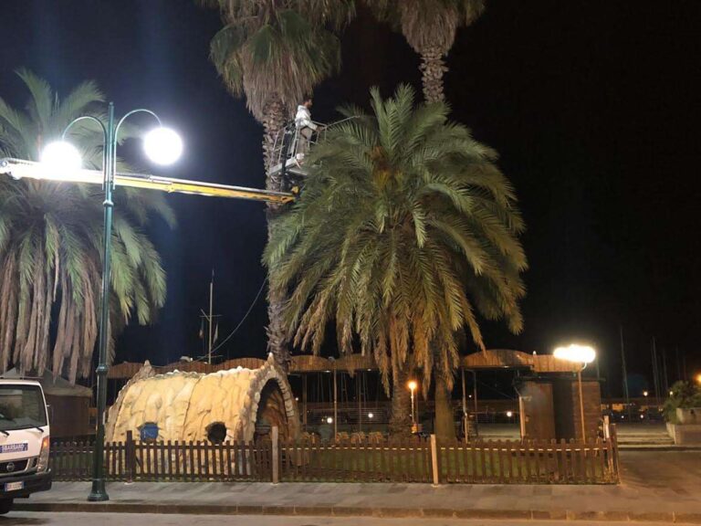 Punteruolo Rosso: a Chiavari campagna di prevenzione per salvare le palme