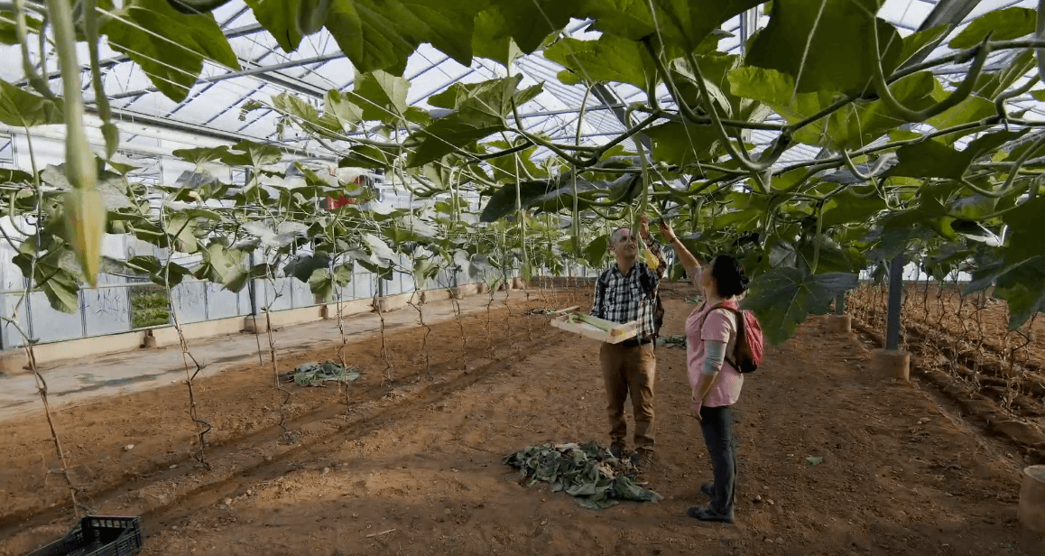 La Liguria al Festival di Venezia con un video su agricoltura e pesca