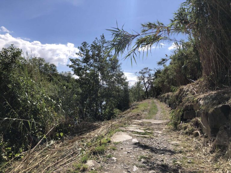 Chiavari, aggiudicati i lavori per la pista ciclo-pedonale lungo Entella
