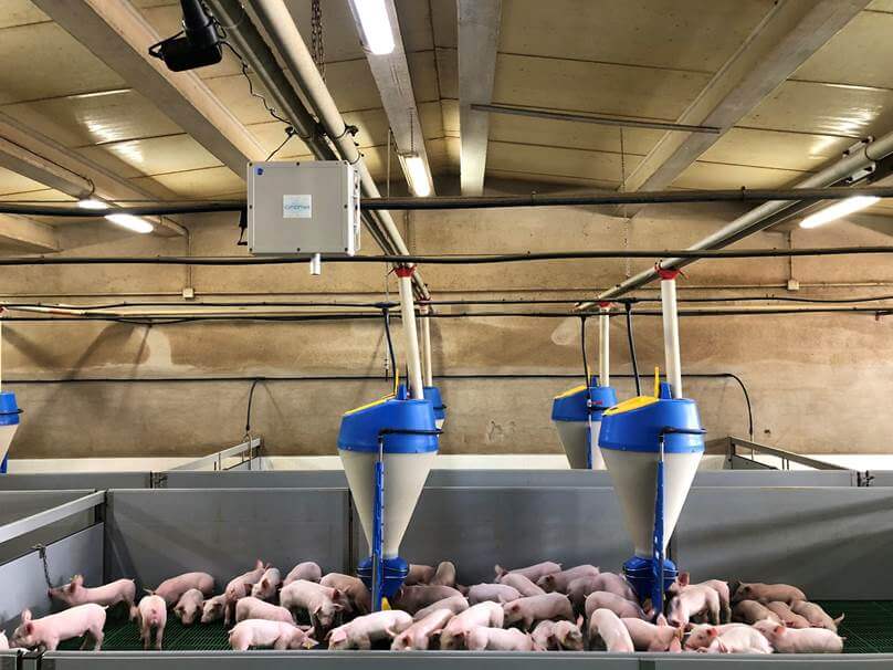 Un brevetto genovese porta l’Internet of things nelle stalle