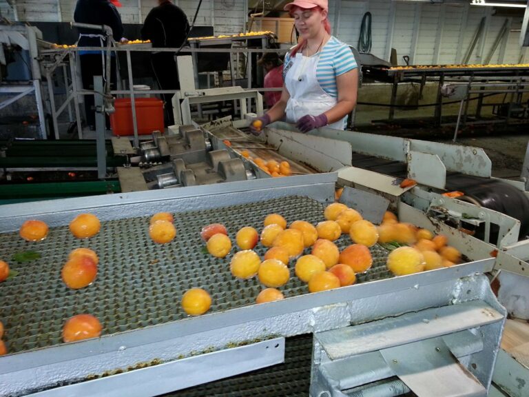 Lavoratori industria alimentare senza contratto: bloccata la trattativa, sciopero il 9 ottobre