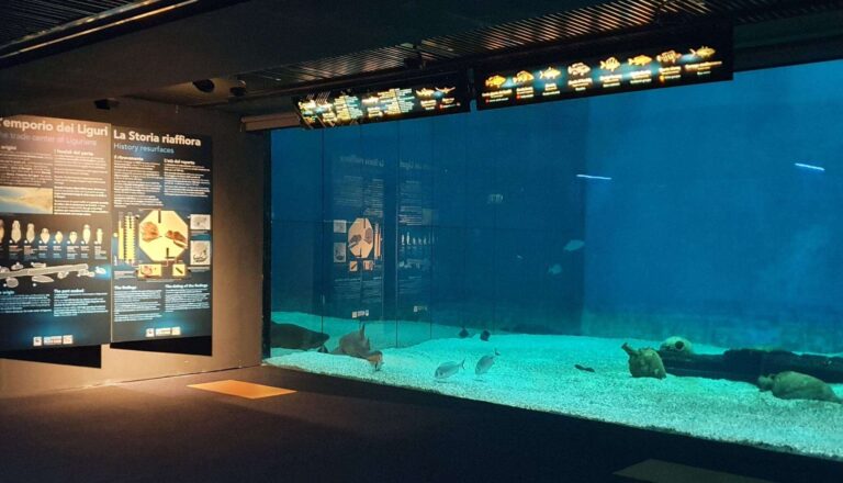 5 influencer raccontano l’Acquario di Genova