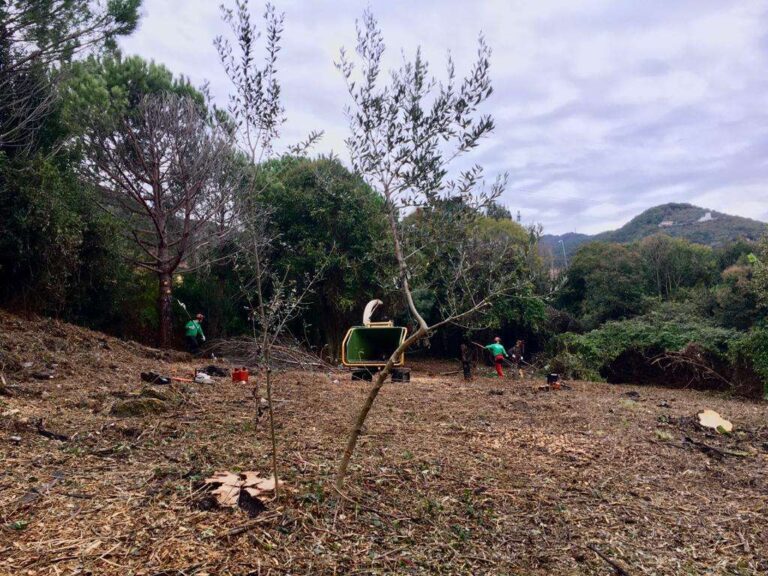 Amiu, al via la riqualificazione di un bosco urbano a Struppa