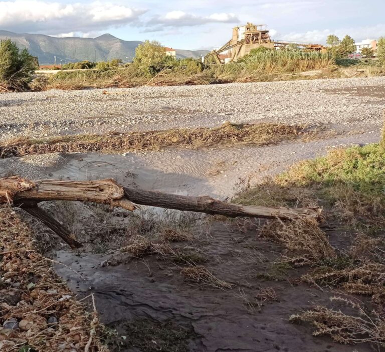 Cia Savona: serve urgente manutenzione straordinaria sul fiume Centa