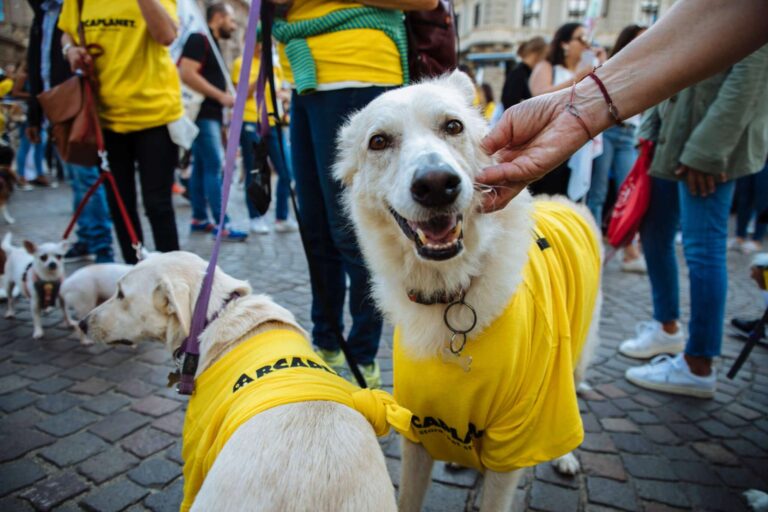 Arcaplanet, con la maratona Foodstock donate 103 tonnellate di cibo nei primi 6 mesi dell’anno