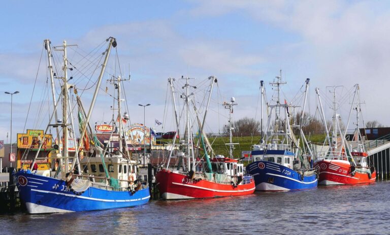 Fincantieri e Federpesca per il rilancio dell’economia ittica nazionale