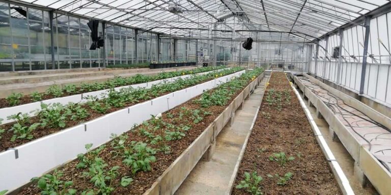 Turismo e cultura, agroalimentare, infrastrutture il focus di Ambrosetti sull’imperiese